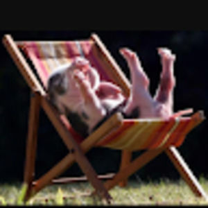 Meet your Posher, Tessa